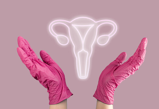 Fertility Awareness: Understanding the Female Reproductive System