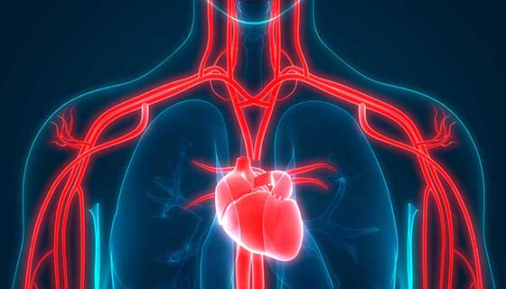 Natural Ways to Strengthen Your Heart Health