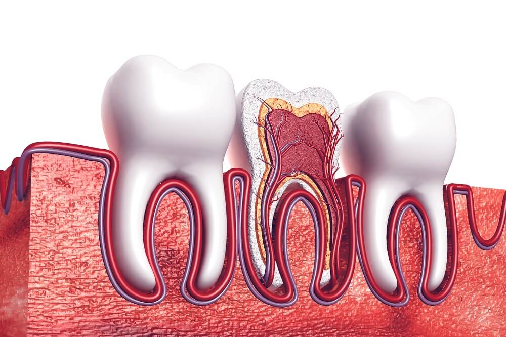 Root Canal Treatment: Myths vs. Facts You Should Know