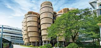 How a Master’s Degree in Singapore Prepares You for Leadership in a Global Marketplace